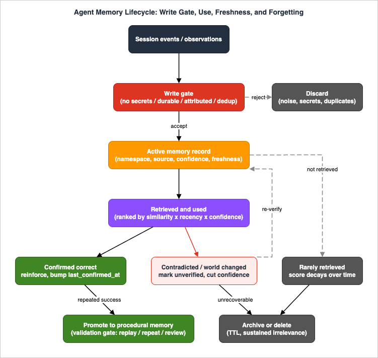 Memory lifecycle from write gate through use, freshness decay, and forgetting or promotion