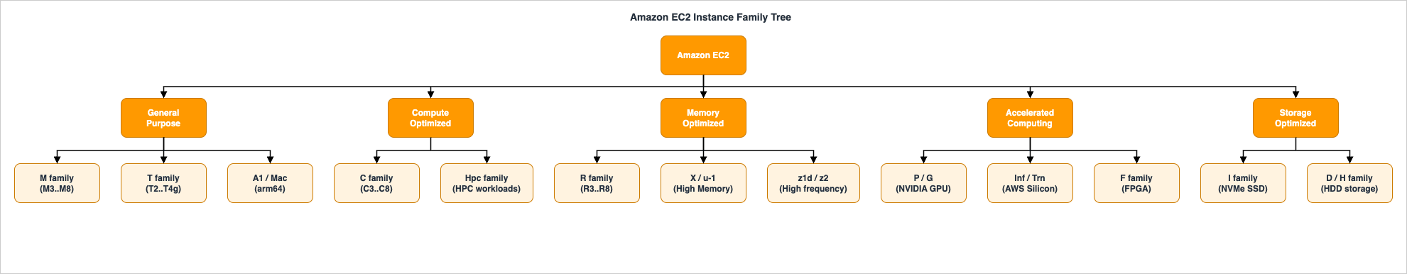 Amazon EC2 Instance Family Tree