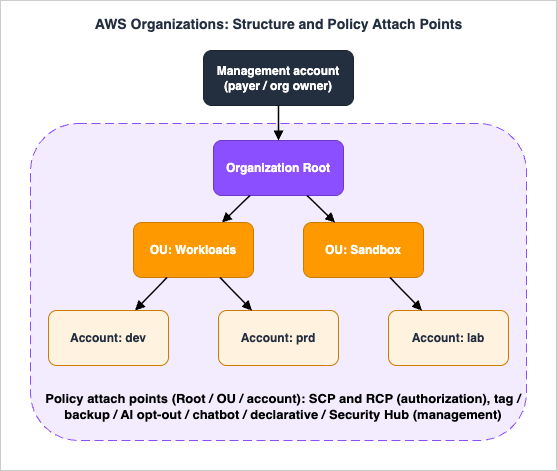 AWS Organizations structure and the scope at which each policy type applies