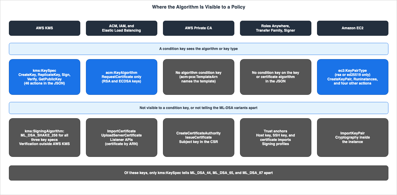Where the Algorithm Is Visible to a Policy