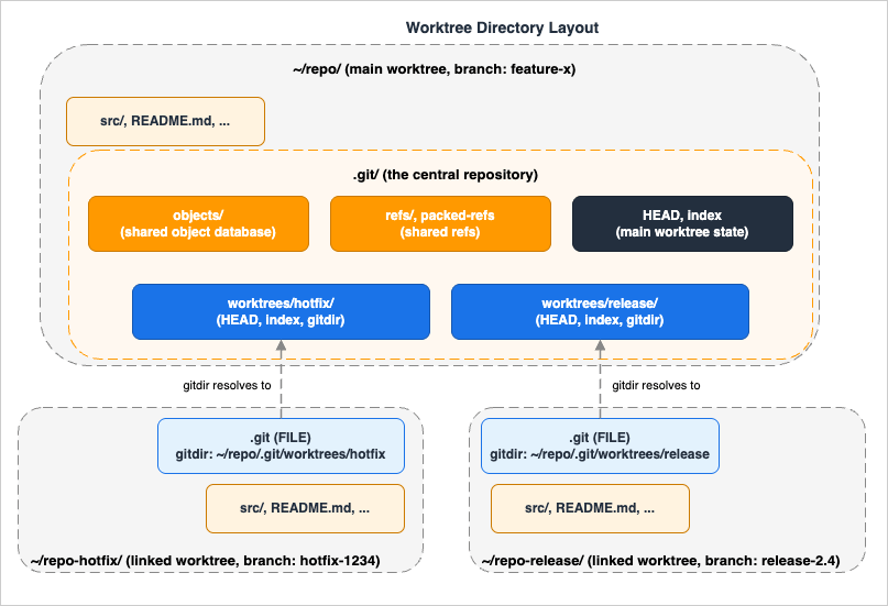 Worktree directory layout: the main worktree contains the full .git directory with the shared object database; each linked worktree is a sibling directory whose .git is a single file pointing back at a per-worktree subdirectory under the main repository's .git/worktrees, while objects, packed-refs, and most refs remain in one place.