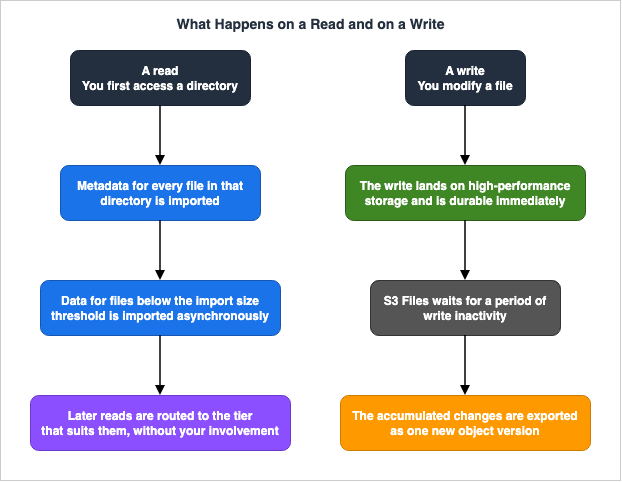 What Happens on a Read and on a Write