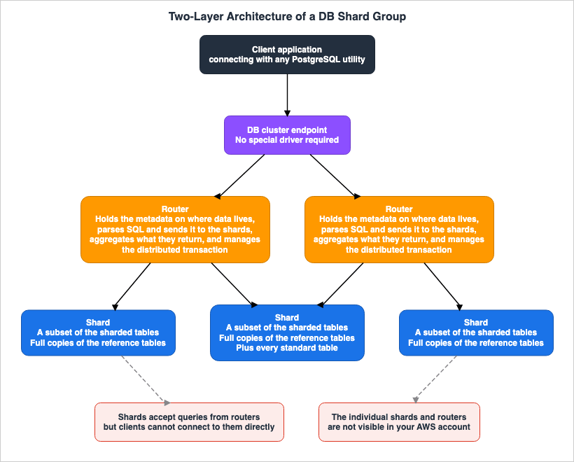 Two-Layer Architecture of a DB Shard Group