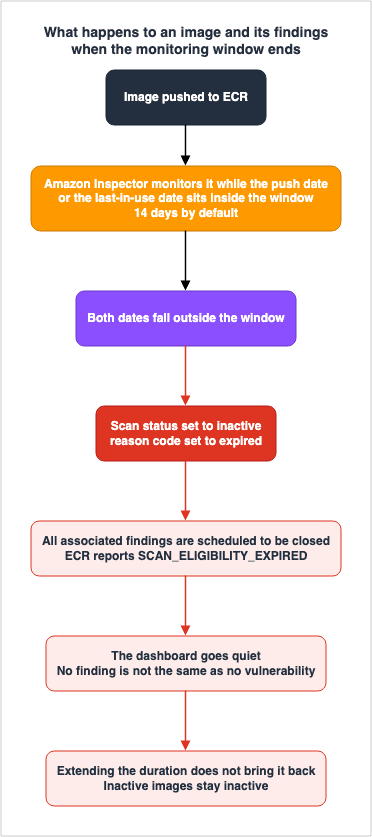 What happens to an image and its findings when the monitoring window ends