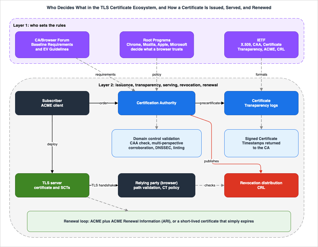 Who Decides What in the TLS Certificate Ecosystem, and How a Certificate Is Issued, Served, and Renewed