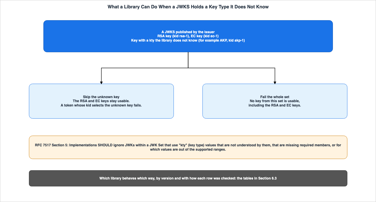 What a Library Can Do When a JWKS Holds a Key Type It Does Not Know
